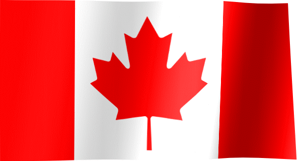 Canada Visa_200314112937.gif